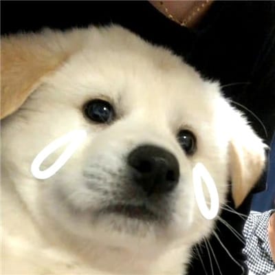 Bryanboy's avatar